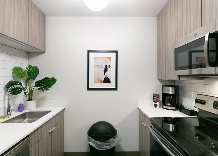 Downtown Mich Ave - 6 Penthouses, Sleep 25 * Chicago